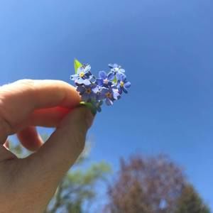 Meet your Posher, Carrie